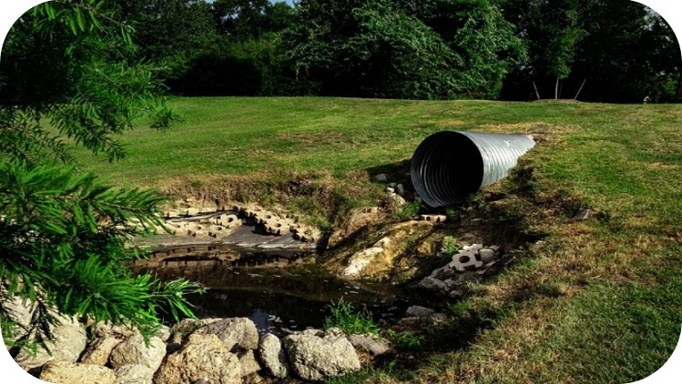 La contaminación de los recursos hídricos como punto de partida para el activismo socio-científico