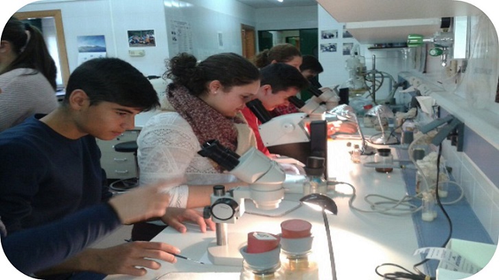 Predictores de vocación en Ciencia y Tecnología en jóvenes: Estudio de casos sobre percepciones de alumnado de secundaria y la influencia de participar en experiencias educativas innovadoras