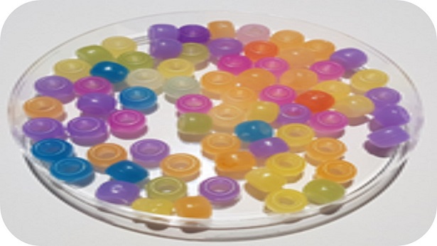 Y tú, ¿te proteges del sol?  Un proyecto STEM con mirada científica