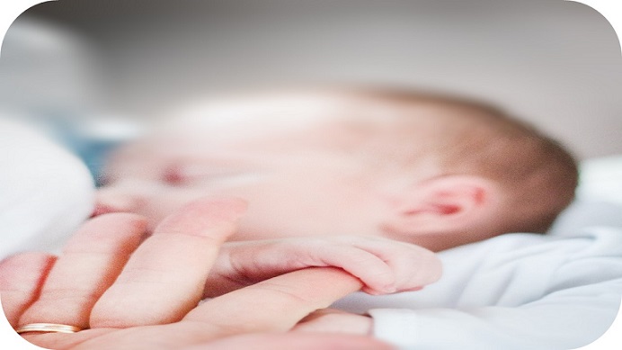 El cuerpo humano y la salud en libros de texto de Educación Primaria (6-11 años), ¿qué aportan al problema socio-científico sobre alimentación en la primera infancia?