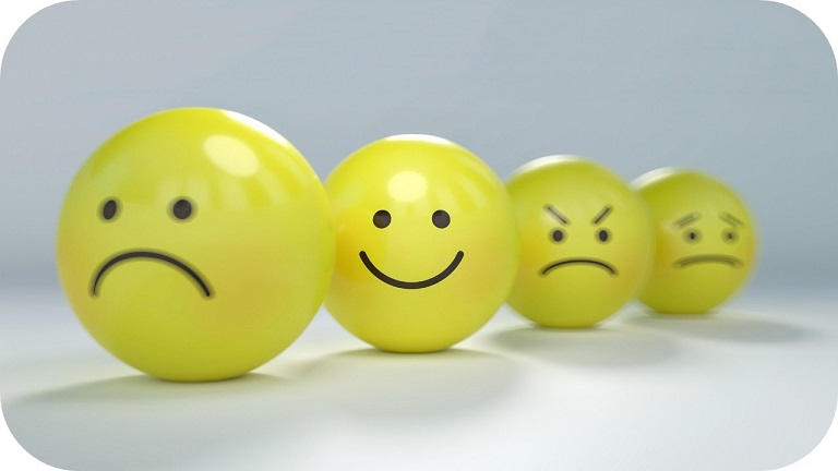 Egagrópilas como fuente de pruebas en una indagación. Percepciones de los estudiantes sobre lo que aprenden y sienten