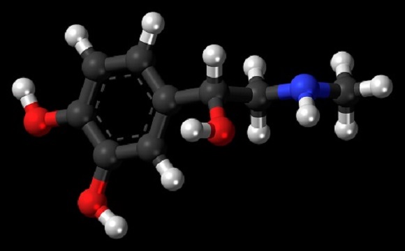 El Diseño Curricular de Química del Ciclo Superior de la Educación Secundaria en la provincia de Buenos Aires, Argentina: una posible lectura para las aulas