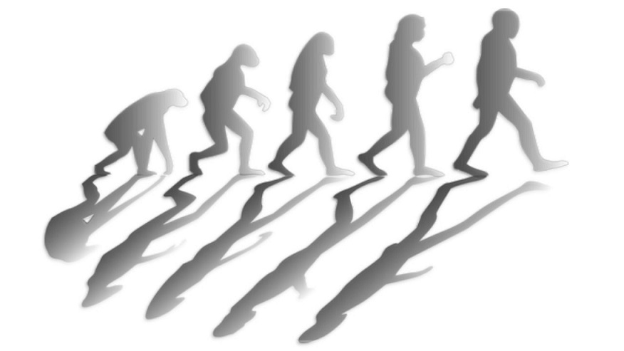 El modelo de evolución biológica en el curriculum de Educación Primaria: Un análisis comparativo a nivel internacional