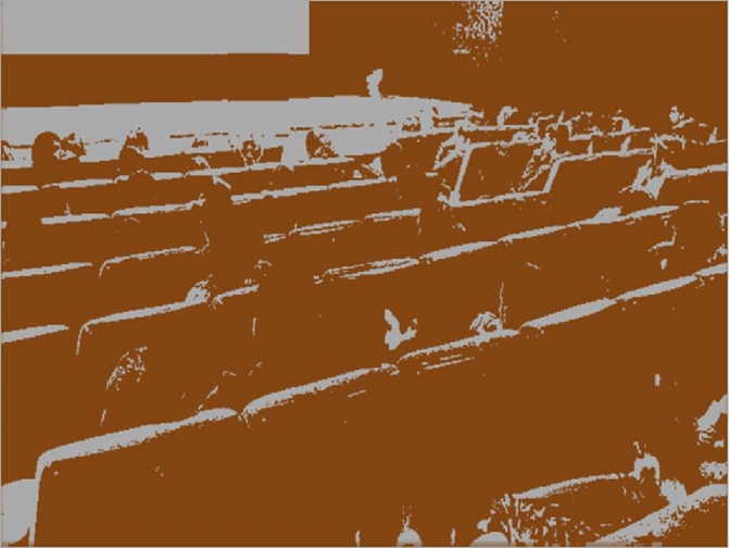 Análisis de la comunicación de experiencias indagadoras presentadas en congresos de ciencias dirigidos a alumnos de educación infantil y primaria