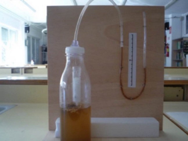 Diseño experimental de un sumidero de CO<sup>2</sup> y sus implicaciones en el cambio climático. Una experiencia de trabajo con alumnos en el laboratorio de Educación Secundaria
