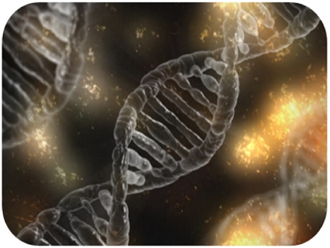 Enseñanza de la evolución: fundamentos para el diseño de una propuesta didáctica basada en la modelización y la metacognición sobre los obstáculos epistemológicos