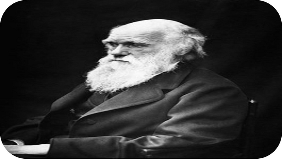 Efecto (¿o no?) de la inclusión de naturaleza de la ciencia en una secuencia para el aprendizaje y la aceptación de la teoría de la evolución