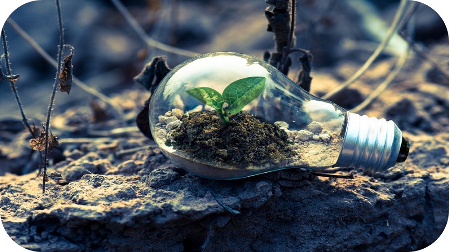 ¿Cambian las actitudes ambientales en la educación secundaria? Un estudio diagnóstico con alumnos de Secundaria de la Región de Murcia.