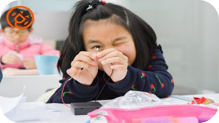 Preferencia por contenidos científicos de física o de biología en Educación Primaria: un análisis clúster