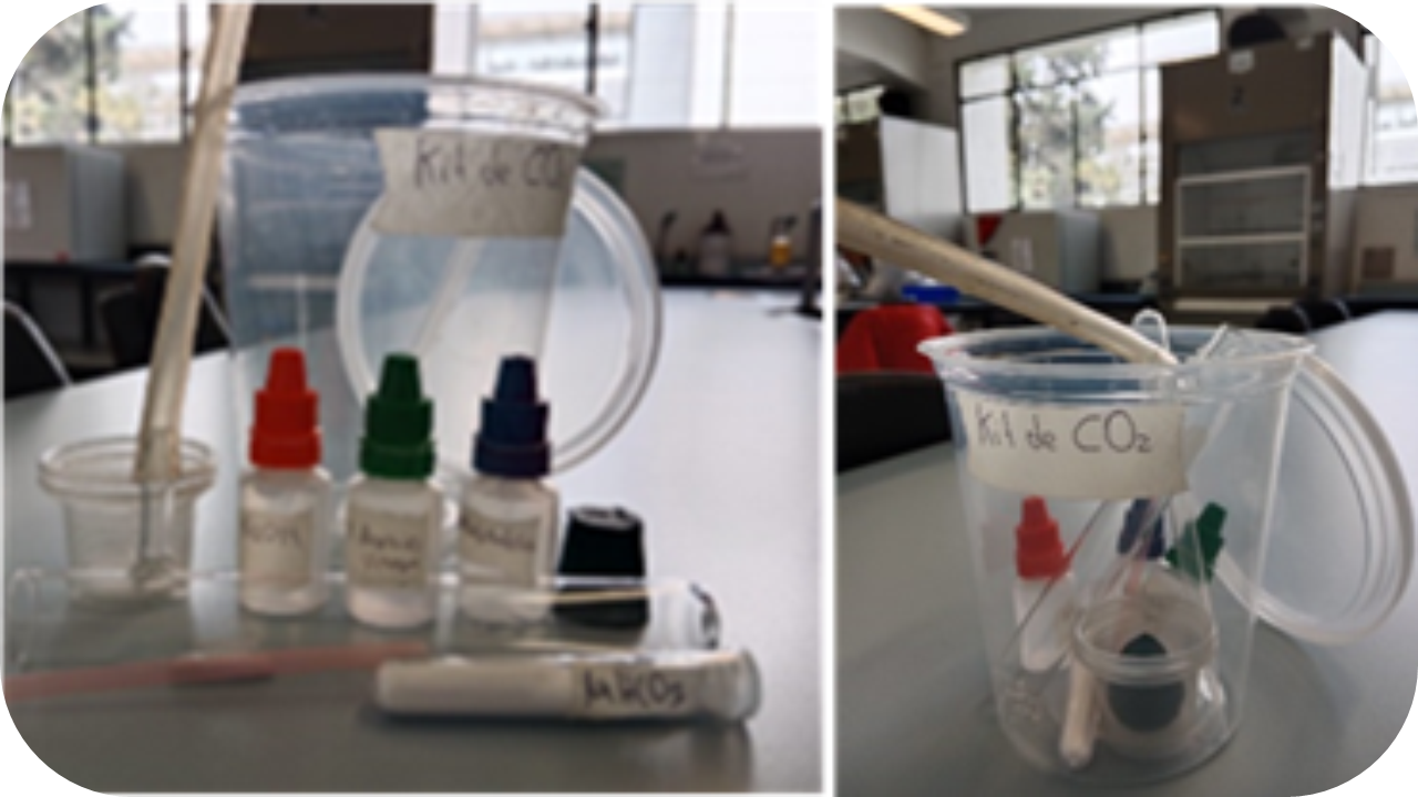 Concepciones sobre el dióxido de carbono y su influencia en el cambio climático: intervención didáctica valorativa y experimental