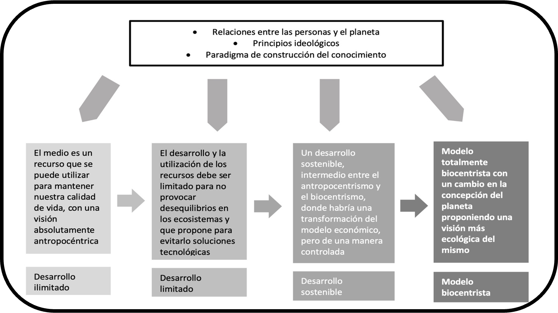La alfabetización ambiental en los currículos de Educación Infantil y Primaria derivados de la LOMLOE