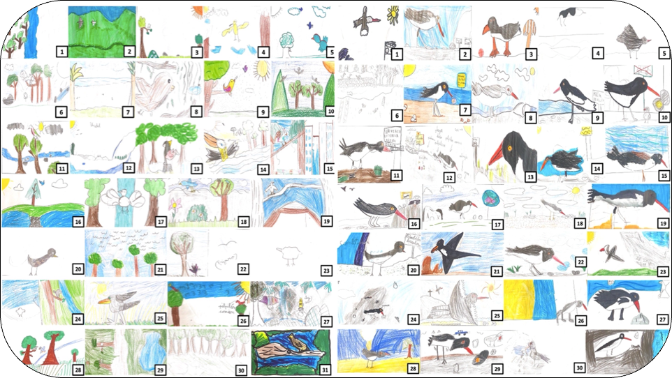 Intervención didáctica para promover el conocimiento del ave playera Pilpilén común (Haematopus palliatus) en escolares de primaria del centro-sur de Chile