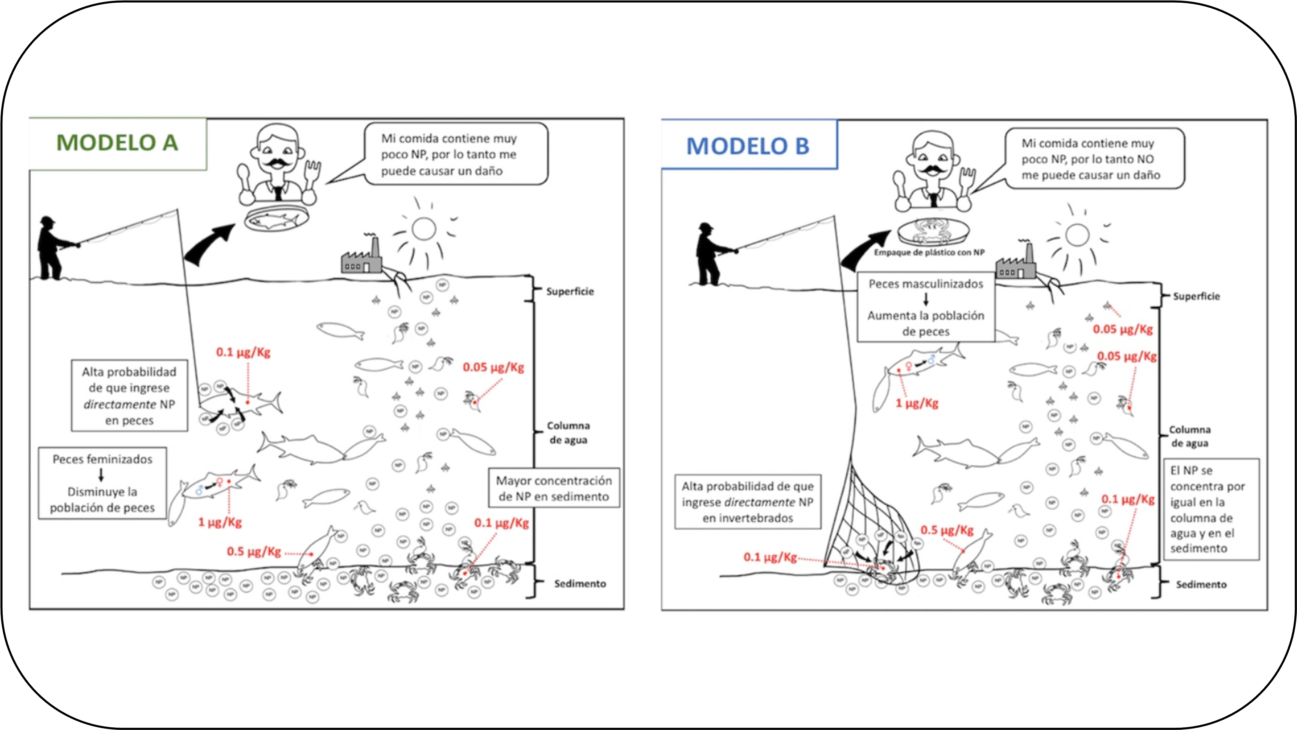Moda y responsabilidad ambiental: Una propuesta didáctica basada en un problema sociocientífico