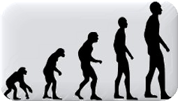 Las ideas de estudiantes chilenos acerca de la evolución de los seres vivos: ¿qué piensan al término de la enseñanza primaria? 