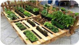 El discurso científico en la etapa de infantil en el contexto del huerto ecológico escolar 