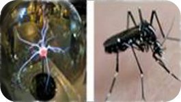 Influencia en la autoeficacia del grado de autenticidad de la indagación de dos proyectos de ciencia de secundaria. Estudio de caso