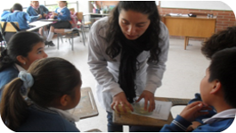 Aprender de microbiología desde la importancia de las bacterias promotoras de crecimiento vegetal. Una experiencia en la escuela primaria