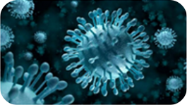 ¿Es consciente el alumnado de secundaria de la trascendencia de los microorganismos y la problemática sobre la resistencia a los antibióticos?