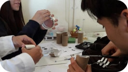 Diseño y evaluación de “Micro-Hoek”: un microscopio a bajo costo con teléfonos móviles para la educación básica