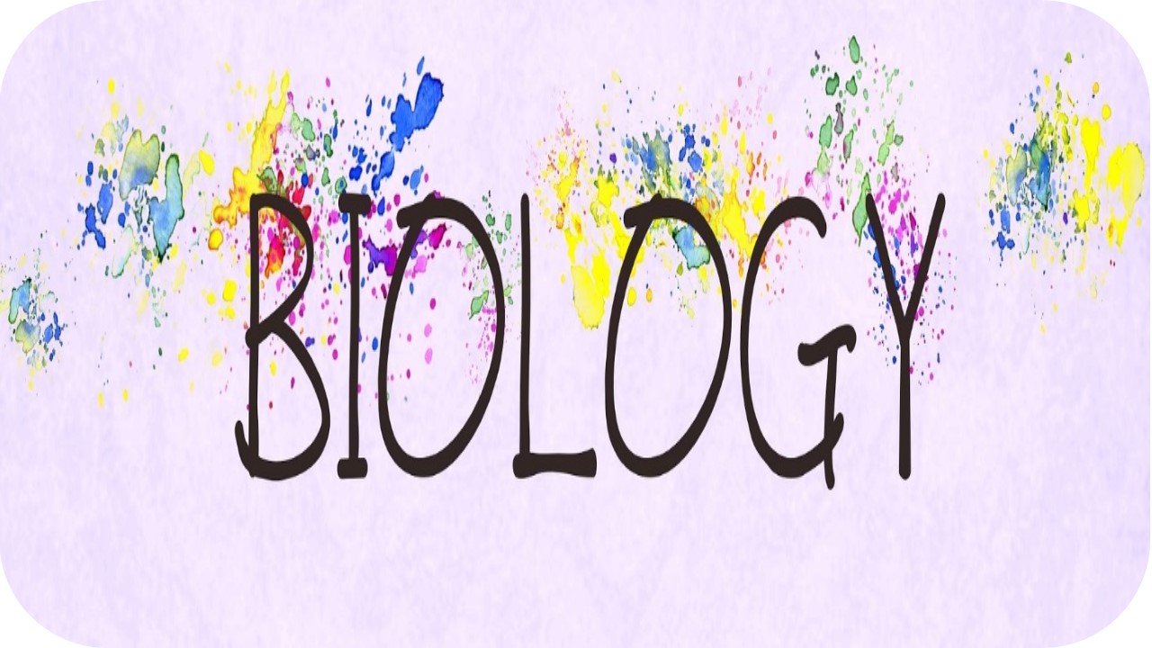 Reconstrucción de Modelos Didácticos Personales de Profesoras Noveles de Biología