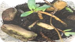 El aprendizaje basado en modelos mantiene a los alumnos activos y con atención sostenida