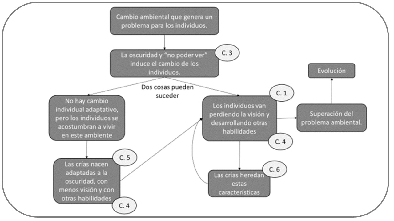 Modelos Científicos Escolares en estudiantado de secundaria ¿Cómo explican la evolución adaptativa?