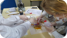 Evaluación de la carga bacteriana del aire en centros educativos como proyecto didáctico 