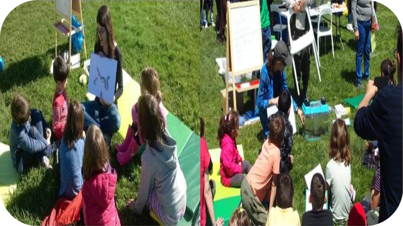 Mejorando un cuento ambiental sobre las anguilas. Cómo la presencia de animales vivos y materiales interactivos incrementa la atención y la participación