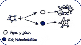  Diseño e implementación en Educación Secundaria Obligatoria de una secuencia de indagación para eliminar el virus SARS-CoV-2 de las manos 