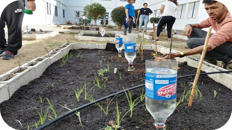 ¿Desde qué perspectiva diseñamos nuestro huerto? Aproximación a la Agroecología desde la formación inicial del profesorado