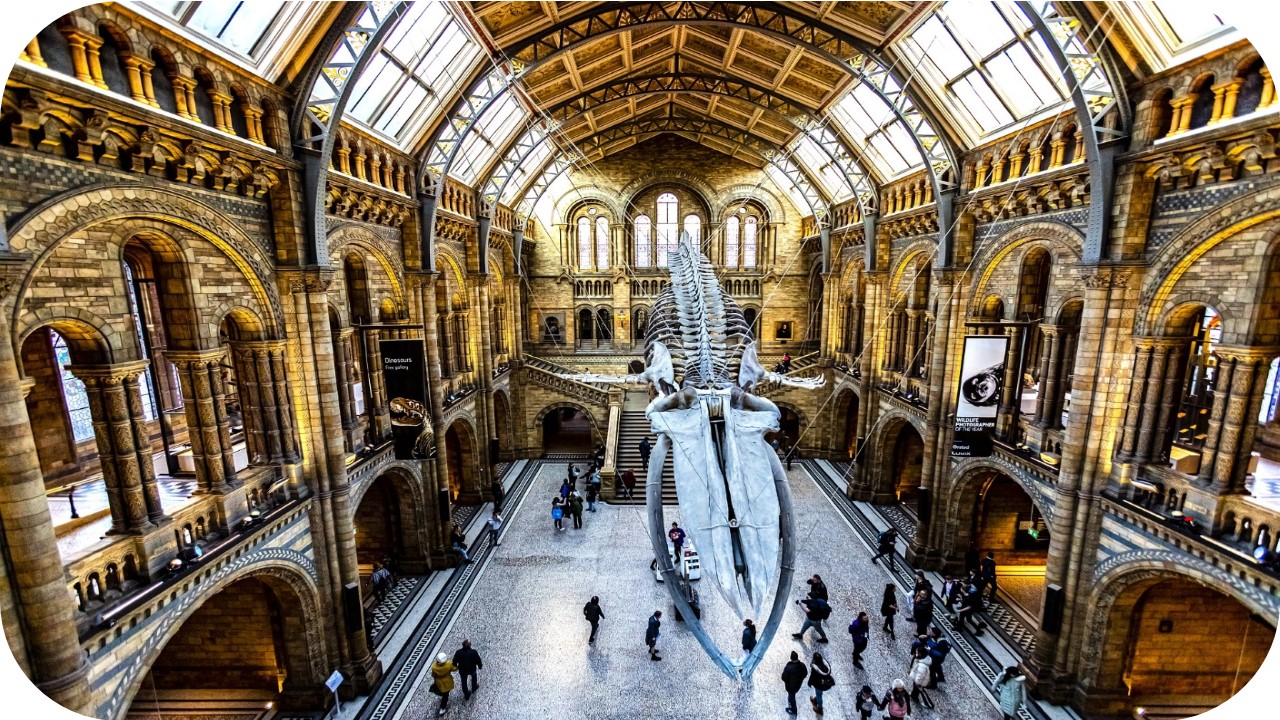 ¿Pueden   los   museos   de   arte   ayudar   a   la   educación   ambiental?   Una   visión interdisciplinaria para promover un aprendizaje significativo