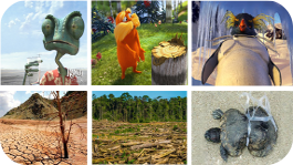 Escena de Rango (A) y consecuencias de la sequía (B). Escena de Lórax (C) y tala de un bosque (D). Escena de Happy Feet (E) y consecuencia de la contaminación marina (F).