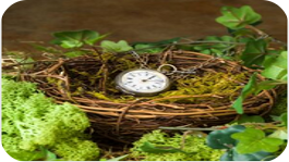 Reloj de cuerda sobre nido