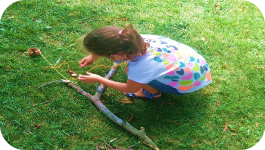 Diseño, desarrollo y evaluación de un campamento urbano de Educación Ambiental para preescolares