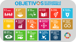 Guía Didáctica para la implementación de los Objetivos de Desarrollo Sostenible en Educación Primaria