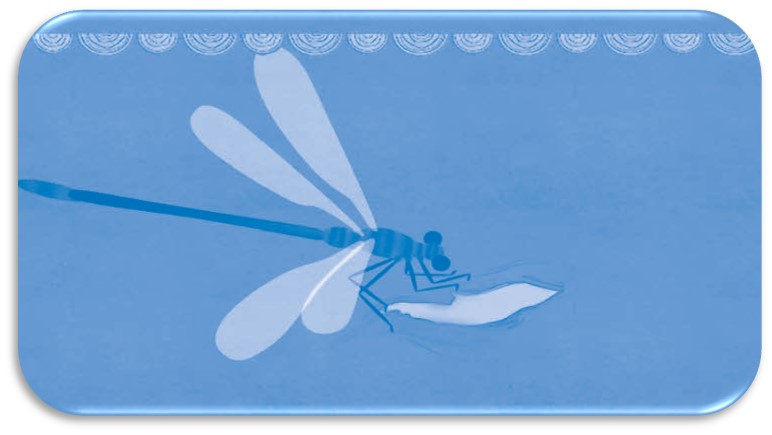 Consideraciones para la creación de un sistemarepositorio de productos transmediales educativos sobre patrimonio cultural