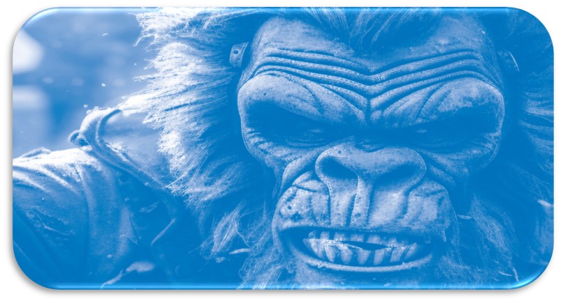 Modos de fotografiar tras Guerrilla Girls: Letizia Battaglia y Herbert List