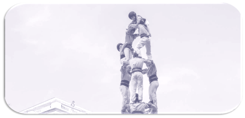 El consejo de cultura; ¿herramienta imprescindible?