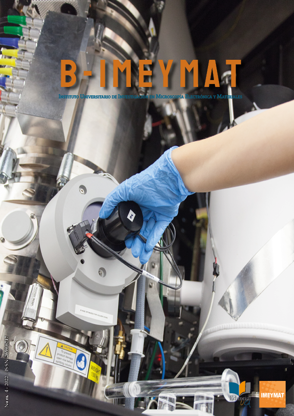 					Ver Vol. 5 Núm. 1 (2022): B-IMEYMAT
				